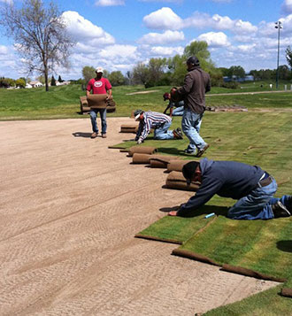 sod installation